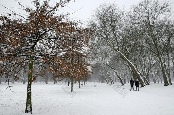 四轮折篷马车公园采用伦敦在下面雪.
