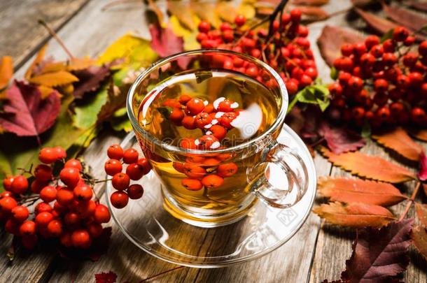 热的<strong>茶</strong>水采用玻璃杯子和欧洲花楸和<strong>大气</strong>的秋装饰
