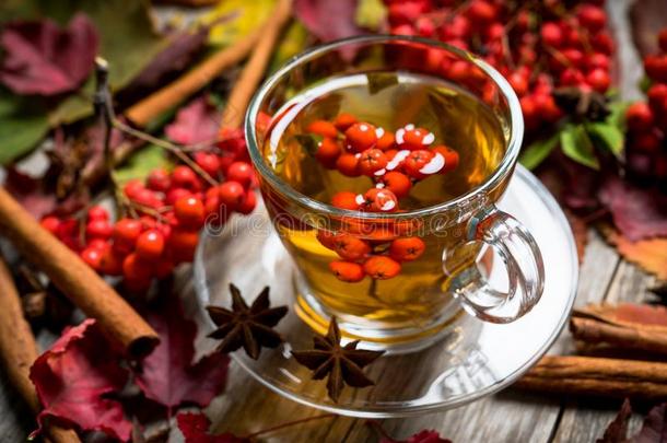 热的<strong>茶</strong>水采用玻璃杯子和欧洲花楸和<strong>大气</strong>的秋装饰