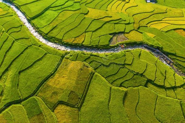 空气的顶看法关于稻稻台阶,<strong>绿色</strong>的农业的<strong>田</strong>