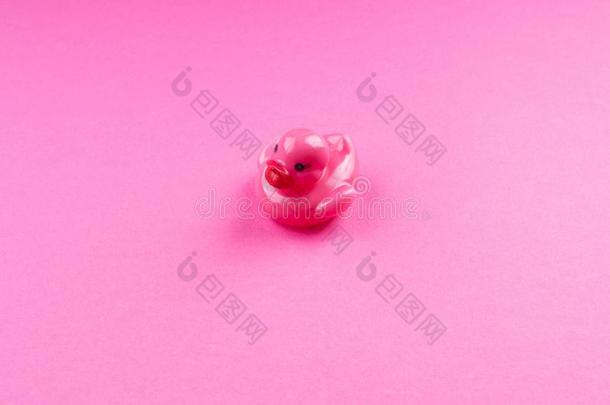 粉红色的魅力橡胶鸭子向m向ochrome背景