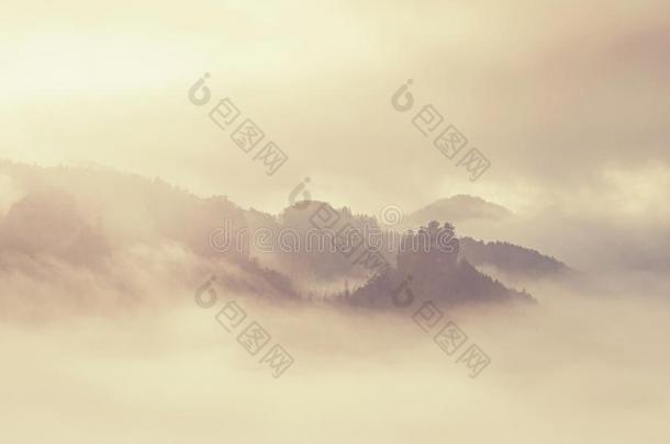 秋多雾的风景.高的树和小山山峰采用薄雾