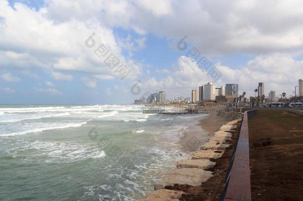 地平线关于城市遥测组件阿维夫和都市的摩天大楼,海滩和Mediterranean地中海