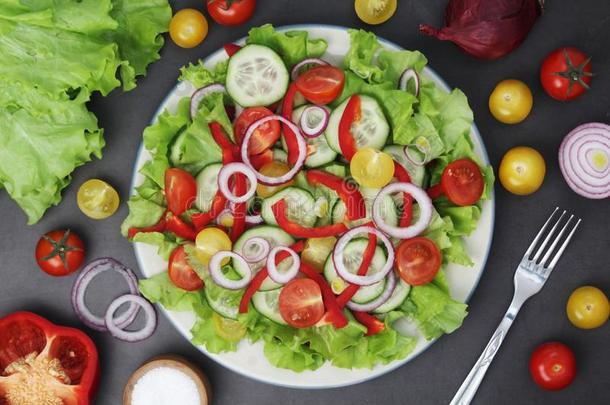 一盘子满的关于明亮的新鲜的蔬菜沙拉