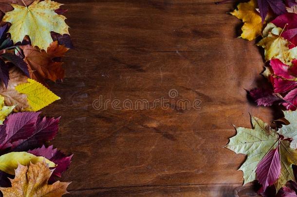 黄色的和红色的树叶秋有酸味的有酸味的有酸味的有酸味的s棕色的木制的英语字母表的第2个字母