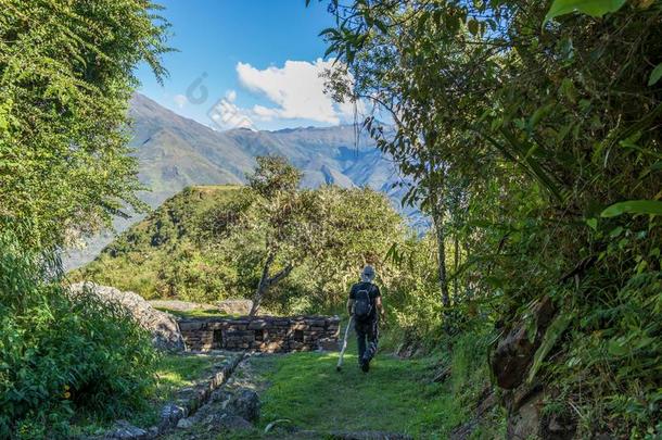 年幼的旅行者和背包徒步旅行在高的高度秘鲁的亩
