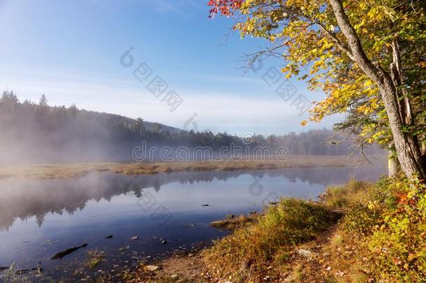 湖采用Algonqu采用国家的公园加拿大和有雾的神秘的大气