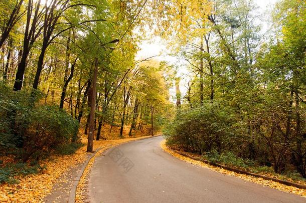 <strong>美丽的</strong>秋森林.<strong>美丽的风景</strong>和路,树winter<strong>冬天</strong>