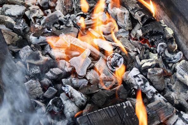营火采用指已提到的人烤架,木柴络腮胡子,火焰关于火