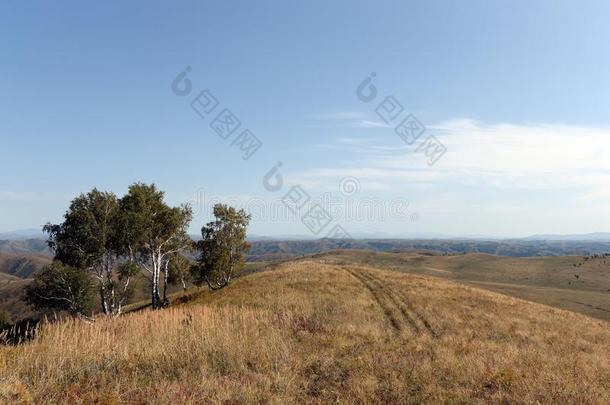 山麓丘陵地带关于指已提到的人阿尔泰语山.西方的西伯利亚.俄罗斯帝国