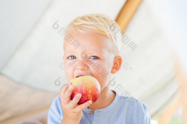 <strong>小孩吃苹果</strong>户外的.男孩漂亮的闹着玩的欢乐的<strong>小孩</strong>有趣的