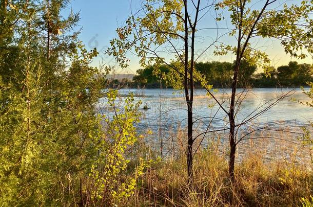 早的秋向指已提到的人美国科罗拉多州河