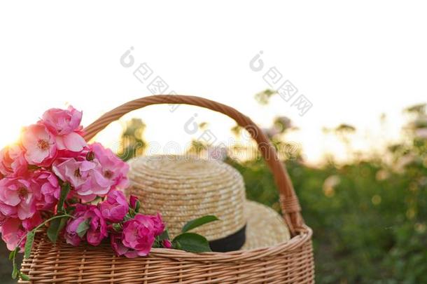 柳条篮和稻草帽子和玫瑰.园艺