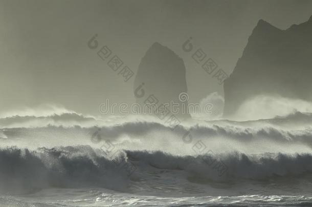 雷尼丝·德拉加尔海大量,冰岛