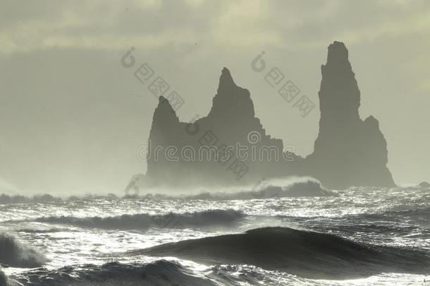 雷尼丝·德拉加尔海大量,冰岛