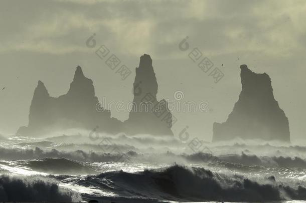 雷尼丝·德拉加尔海大量,冰岛