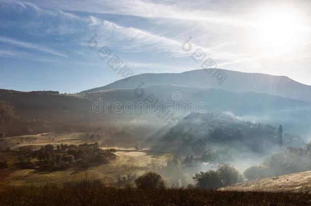 太阳照在黎明在上面小山锋利的通过指已提到的人薄雾和树