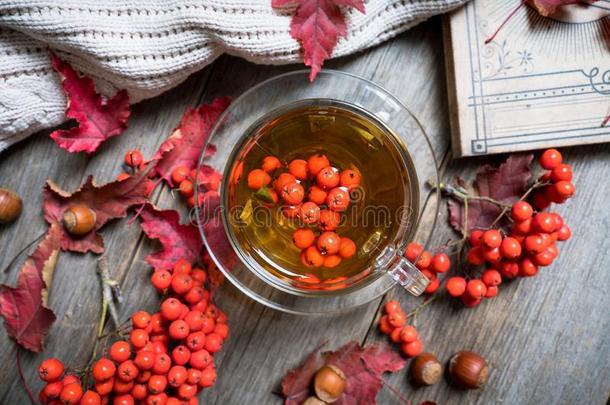 热的茶水采用玻璃杯子和欧洲花楸和大气的秋装饰
