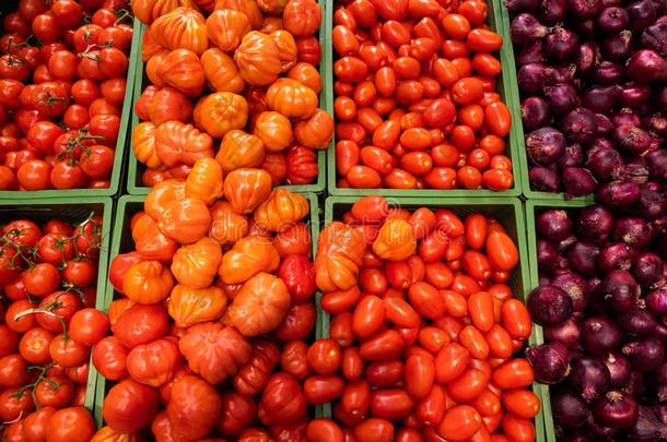 多肉的番茄关于不同的形状和紫色的洋葱分开的采用