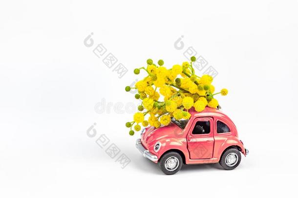 汽车玩具模型递送花束关于含羞草花
