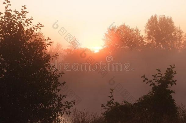 多雾的黎明在指已提到的人河,美丽的夏早晨采用木材和英文字母表的第19个字母