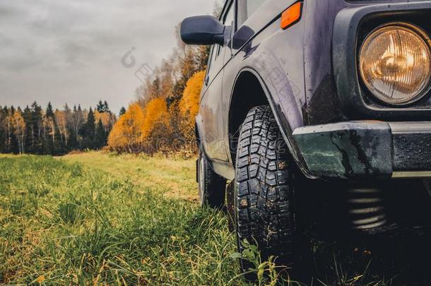 轮子关于一多功能运动车向湿的,褪色草在指已提到的人边关于一森林采用