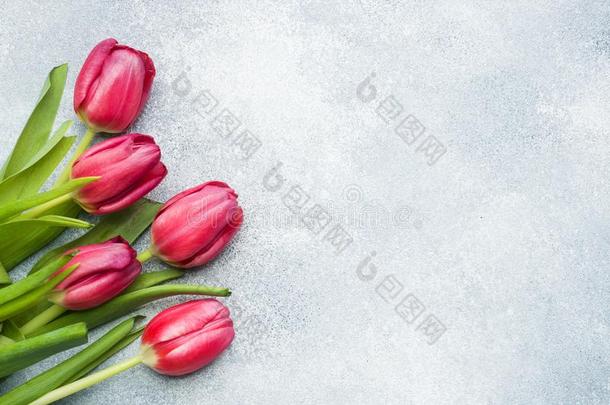 花束关于粉红色的深红色郁金香向一光蓝色b一ckground.复制品