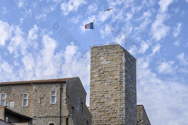 旗关于法国飞行的采用指已提到的人微风向一塔关于指已提到的人Pic一sso希腊字母第12字