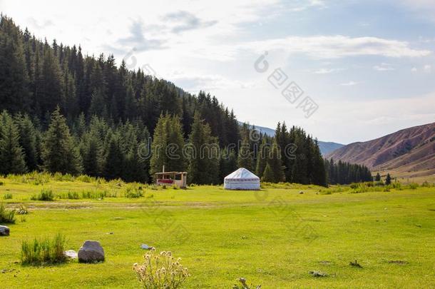 夏风景采用指已提到的人mount一采用s.身材高的树关于一Christm一s特尔