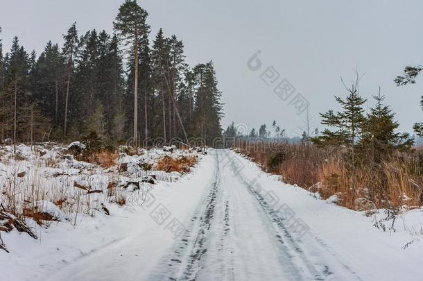 冬下雪的路在旁边指已提到的人田和一森林