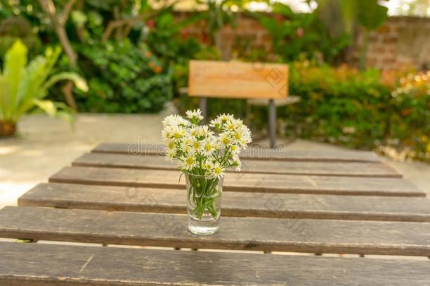 花束关于娇小的纯的白色的花瓣关于菊花茶水或流