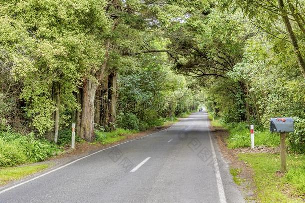 奥塔基山峡路和托塔拉树弓状结构越过指已提到的人路