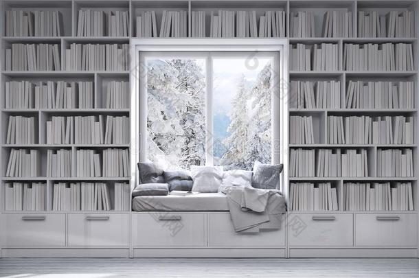 阅读位和书架,白色的书,木制的地面