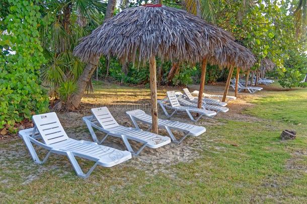 海滩椅子和雨伞向美丽的热带的海滩