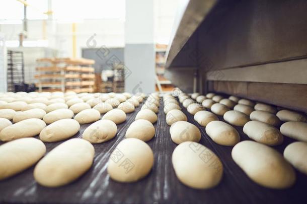 自动的面包房生产线条和面包采用面包房工厂