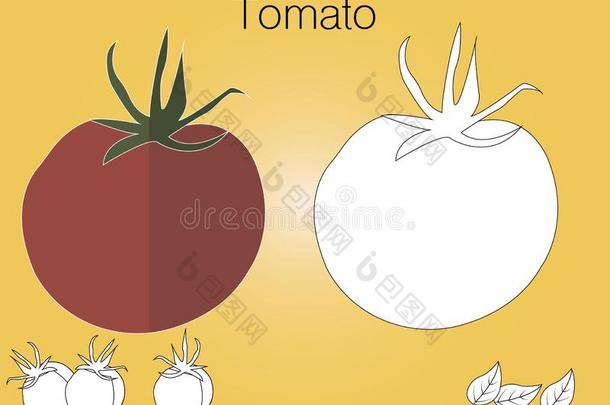 红色的番茄和绿色的叶子草图关于有机的自然的蔬菜.