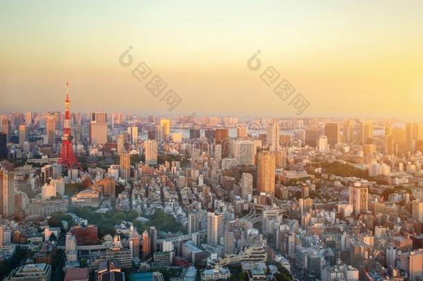 指已提到的人最美丽的观点东京塔采用东京城市,黑色亮漆