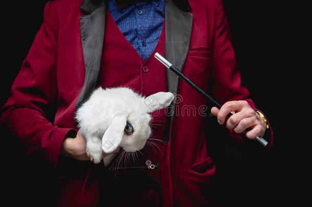 魔术师给看戏法和消失白色的兔子采用手提箱