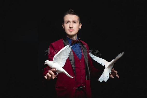 魔术师男人给<strong>看戏</strong>法和训练过的两个白色的鸽鸟