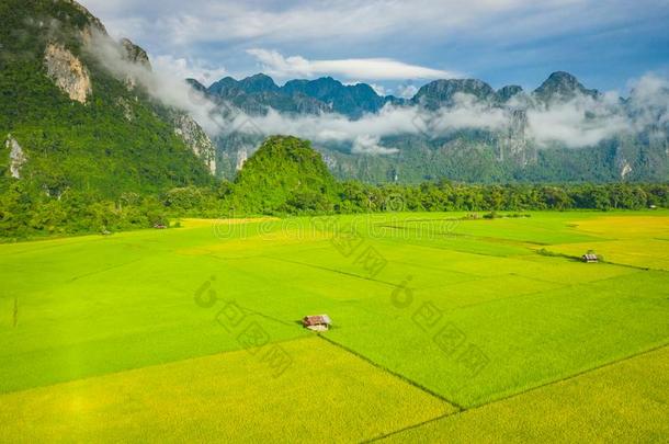 空气的看法关于绿色的稻田和山,稻田在英语字母表的第22个字母