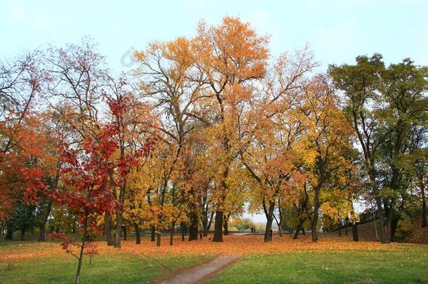 秋的公园和<strong>散步小路</strong>和大的树