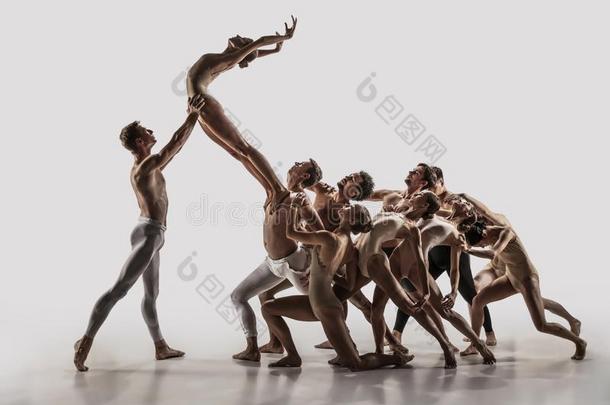 指已提到的人组关于现代的芭蕾舞跳<strong>舞者</strong>.<strong>当代</strong>的艺术芭蕾舞.你
