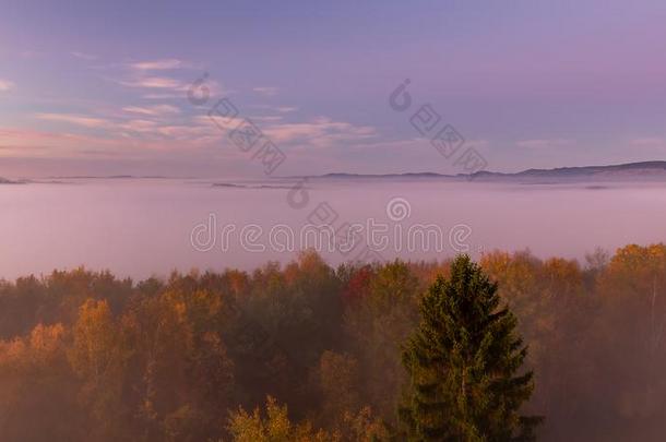 空气的看法向秋多雾的雾和树和小山采用日出,