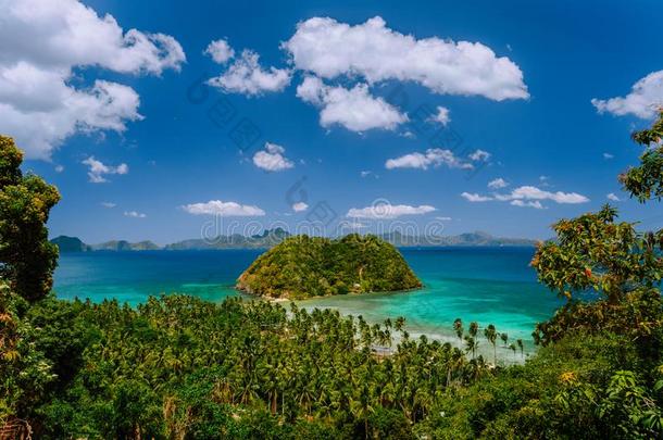 热带的风景关于单身汉群岛和手掌树,岛一