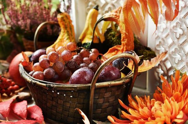 秋装饰和篮关于成果和葫芦