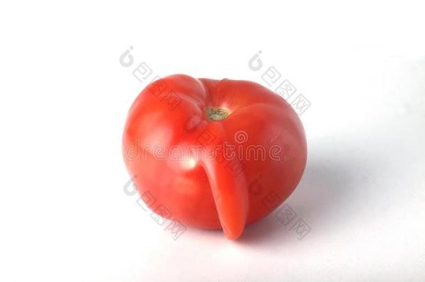 观念关于难看的食物-难看的番茄向白色的背景