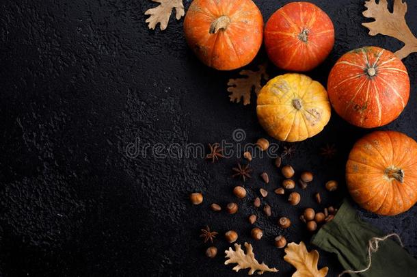 秋框架使关于南瓜,树树叶,榛实向黑的英语字母表的第2个字母
