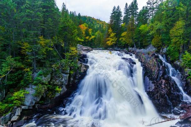 人名魔鬼瀑布,采用montane山地森林为使颤动而装在弹簧上的国家的公园