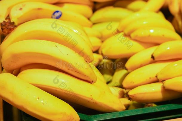 黄色的香蕉是向指已提到的人柜台.黄色的成熟的香蕉向指已提到的人Colombia哥伦比亚