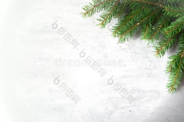 冷杉树枝边向灰色背景,圣诞节背景幕布